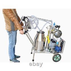 110V Electric Milking Machine 25L Bucket Milker Vacuum Pump Milker 10-12 Cows/h