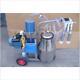 110v/220v, Double Buckets Piston Vacuum Milking Machine For Cows, Cattle