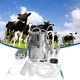 14l Cow Milking Machine, Continuously Adjustable Suction Pulsation Vacuum Milker