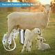 14l Portable Vacuum Pump Electric Milking Machine Fits For Farm Cow Sheep Goat