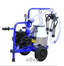20L Mini Milking Machine for Cows 304L Stainless Steel 120V Complete System