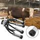 240cc Milking Machine Vacuum Piston Pump Accessary Milk Cluster For Farm Cow