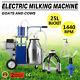 25l Electric Milking Machine For Goats Cows Withbucket 2 Plug 12cows/hour Milker