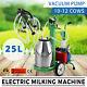 25l Electric Milking Machine Local Shipping 10-12 Cows/h +extras Moderate Cost