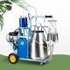 25l Electric Milking Machine Milker For Farm Cows Bucket Stainless Steel Bucket