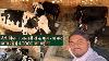 4 40000 Durga Dairy Farm Karnal Haryana Dairyfarm