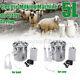 5l Dual Head Milking Machine Farm Cow Milker Impulse Type Vacuum Pump