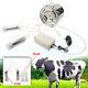 5l Electric Milking Machine Vacuum Impulse Pump Cow Goat Milker Stainless Steel