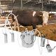 5l Electric Milking Machine Vacuum Impulse Pump Regulator Cow Goat Milker 110v