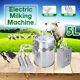 5l Electric Milking Machine Vacuum Impulse Pump Stainless Steel Cow Goat