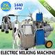Automatic Electric Milking Machine Milk Cattle Cow Bucket Ss Vacuum Piston Pump