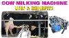 Dairy Farming Cow Milking Machine Uses And Benefits