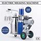 Electric Cow Milking Machine Milker With 25l Bucket & Piston Pump