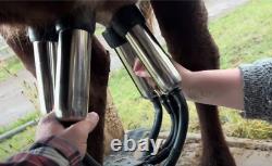 Electric Milking Machine 10 Cows 6.6 Gal /25L/304 Stainless Steel + Cups & Tubes