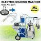 Electric Milking Machine For Goats Cows 25l Bucket With Wheels Piston Vacuum Pump