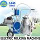 Electric Milking Machine Milk Farm Cow Bucket 25l Stainless Steel Piston Pump Ce