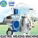 Electric Milking Machine Milker Cattle Cows Piston Stainless+25l Bucket Barrel