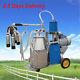 Electric Single Cow Milking Machine Cattle Dairy Milker Pulsator With 25l Bucket