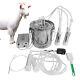 Goat Milker Machine/station Manual Pulse Rechargeable, 9l 304 Stainless Steel