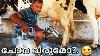 How To Use Cow Milking Machine Malayalam Agri Tech Farm