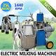 Large Electric Piston Vacuum Pump Milking Machine Cows Bucket Stainless Steel Ce