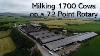 Milking 1700 Cows On A 72 Point Rotary Scotland