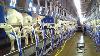 Milking Machine In Action Incredible Cow U0026 Goat Automatic Milking System Processing