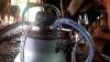 Milking Machine Use In Inesh Agro Farm Nepal