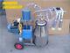 New Electric Milking Machine For Cows Or Sheep 110v/220v Free Sea Shipping