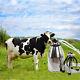 Portable 304# Stainless Steel Cow Milker Milking Machine Bucket Tank Barrel New