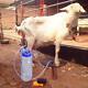 Portable Electric Milking Machine Cow Goat Big Suction Capacity Milking Machine