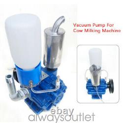 Professional cow milking machine vacuum pump 1440 rpm milk bucket 250 L / min