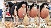 Revolutionizing Dairy Farming Robot Milking Cattle Feeding Silage Tips