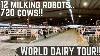 This New Dairy Has 12 Milk Robots