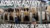 Touring A Farm With A Robotic Rotary Milking Parlor