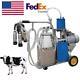 Usa Milker Piston Vacuum Pump Electric Milking Machine For Farm Cows Bucket Easy