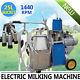 Usa Seller Professional Electric Milking Machine Milker For Farm Cow Bucket 25l