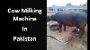 Machine À Traire De Vache Dans Des Solutions De Ferme Laitière Du Pakistan
