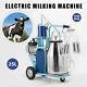 Machine À Traire Électrique Milker 25l Pour Les Vaches Avec Des Navires En Acier Inoxydable Des Etats-unis