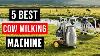 Top 5 Meilleures Machines à Traire Les Vaches Meilleure Machine à Traire Avec Guide D'achat