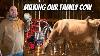 Traire Notre Vache Familiale Avec La Machine à Traire Melasty