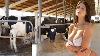Vaches Injections D'udder Drippers Pour Les Vaches Traiteuses Vétérinaires Sur Les Vaches Laitières Agricoles Soins